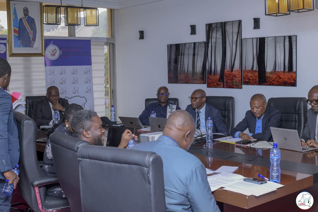 Séance officielle P-DDRCS