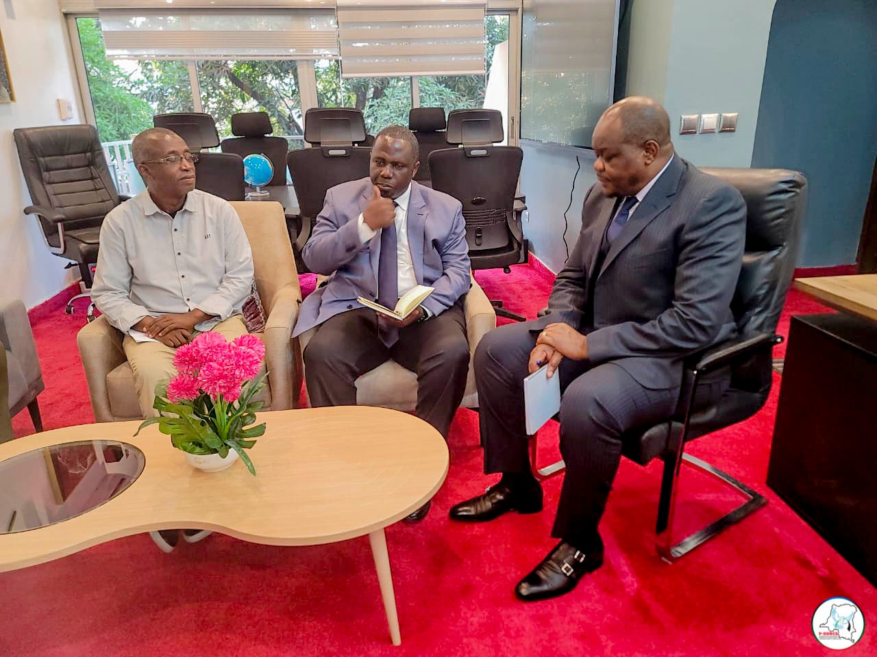 Mission P-DDRCS — photo 6