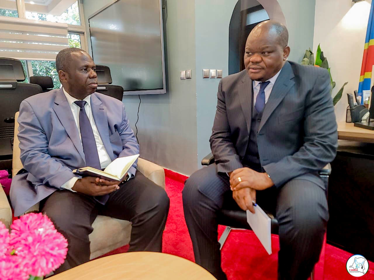 Mission P-DDRCS — photo 7