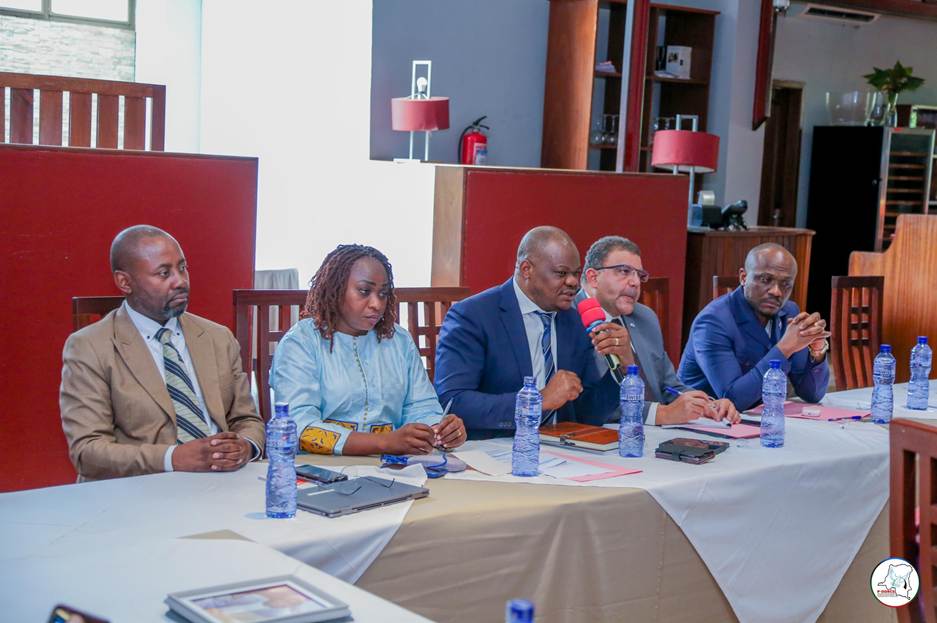 Kinshasa : Élaboration en cours du plan prioritaire du P-DDRCS après le rapport d'évaluation de la mise en œuvre du projet pilote de réinsertion communautaire par l'OIM dans trois provinces